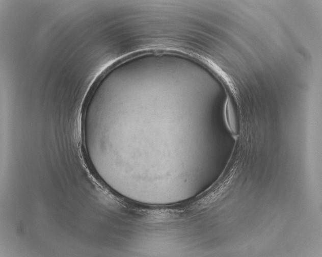 X0000116160988200912071321