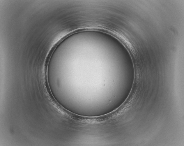 X0000116160990200912071321