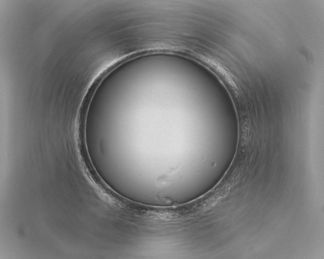 X0000116160991200912071321