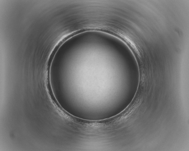 X0000116160992200912071321