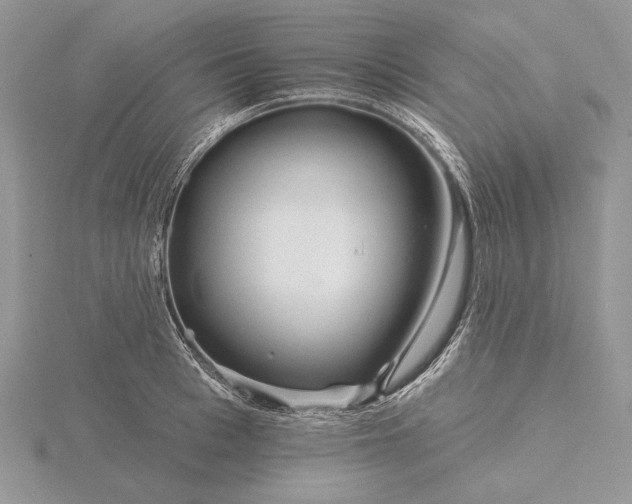 X0000116160993200912071321