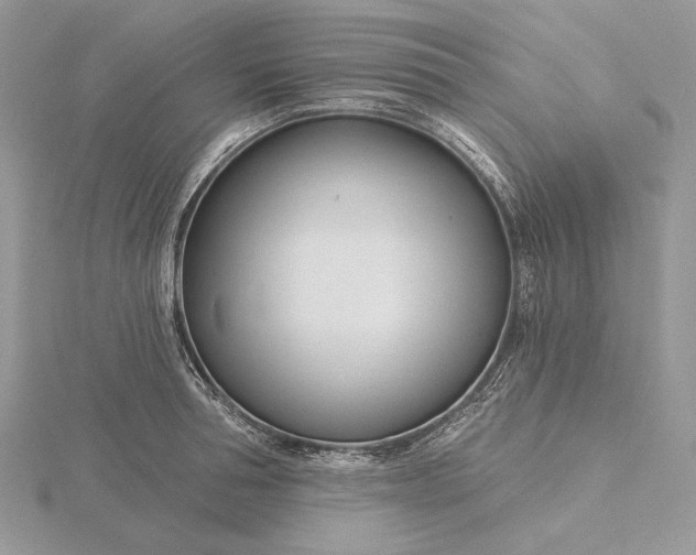 X0000116160994200912071321