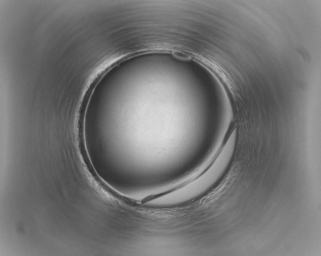 X0000116160995200912071321