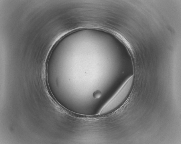 X0000116160996200912071321