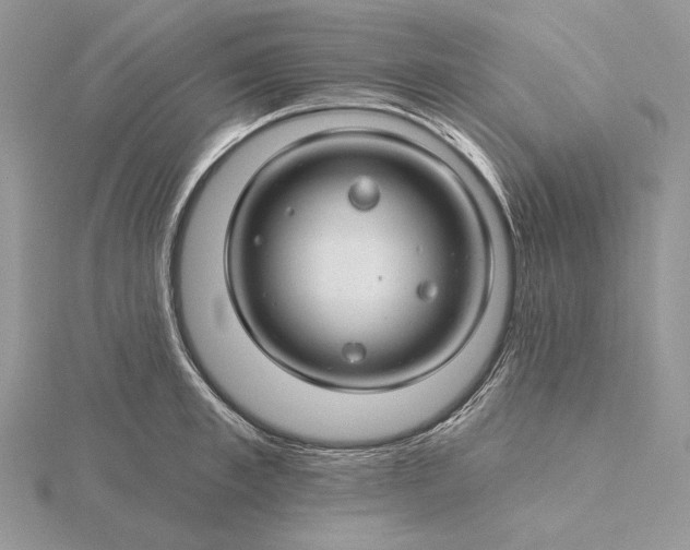 X0000116160997200912071321