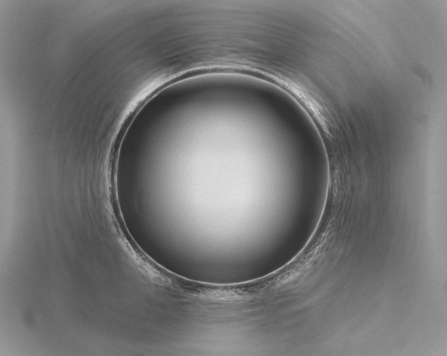 X0000116160998200912071321