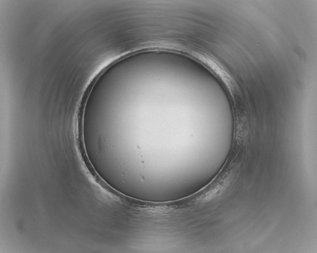 X0000116160999200912071321