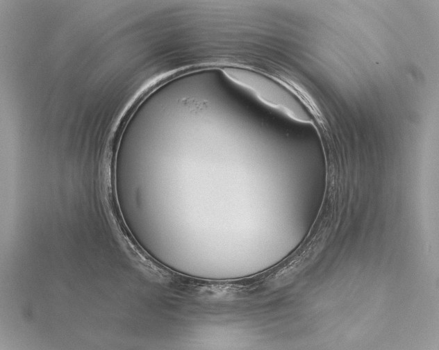 X0000116161000200912071321