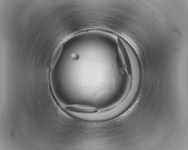 X0000116161001200912071321