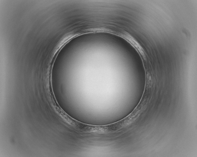 X0000116161002200912071321