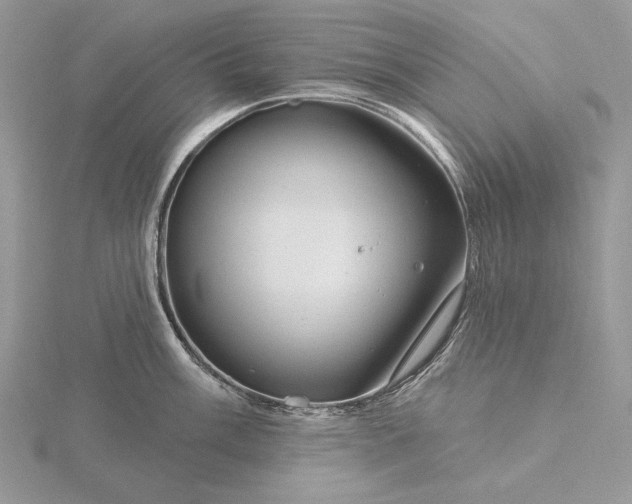 X0000116161003200912071321