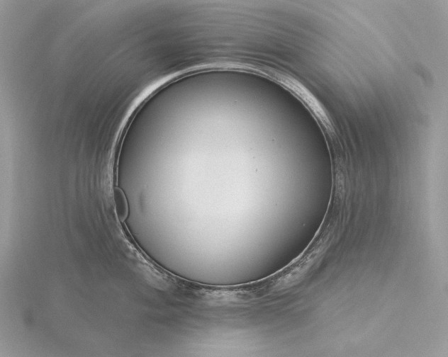 X0000116161004200912071321