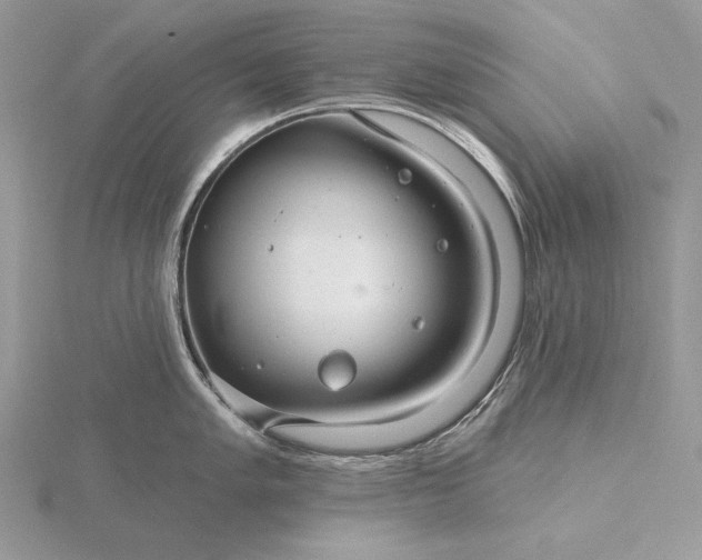 X0000116161005200912071321