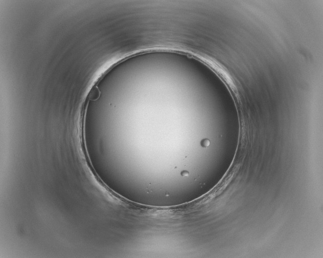 X0000116161006200912071321