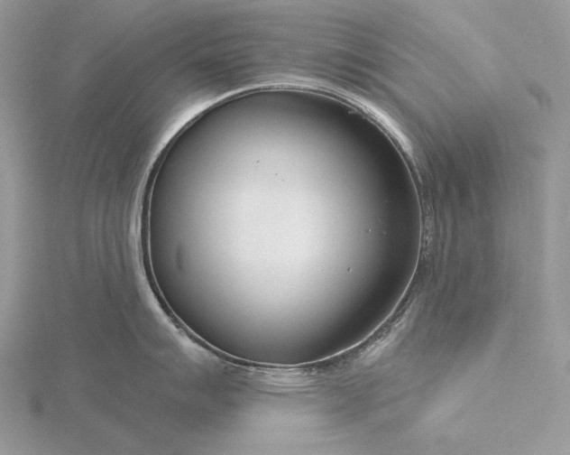 X0000116161007200912071321