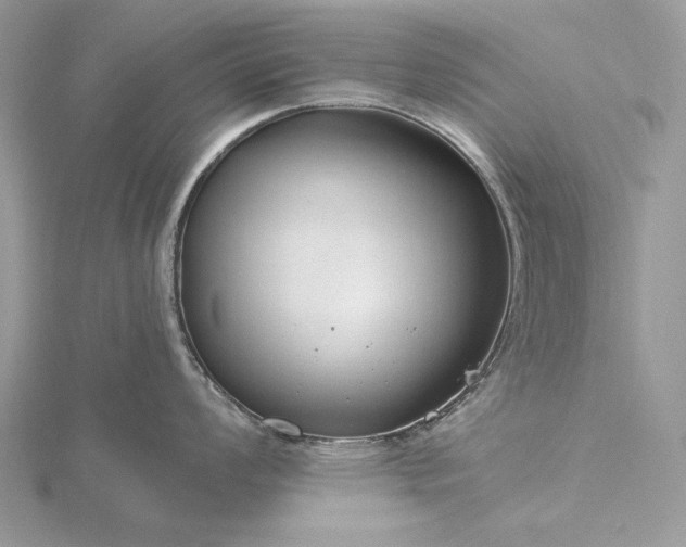 X0000116161008200912071321