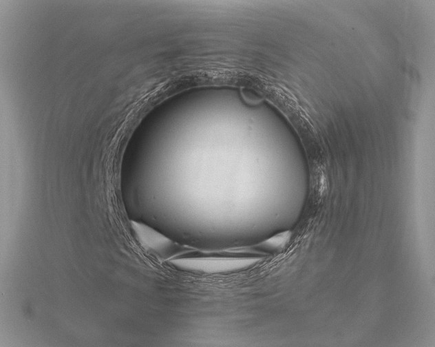 X0000116161009200912071320