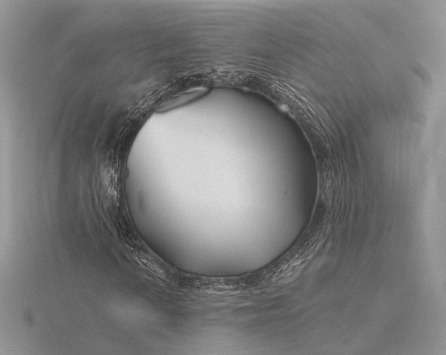 X0000116161010200912071320