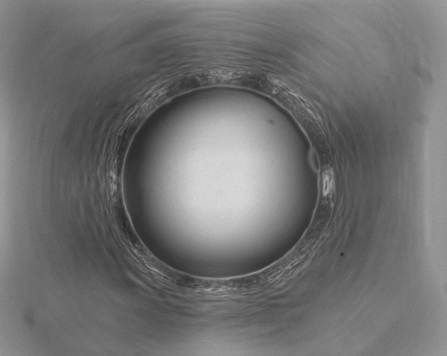 X0000116161011200912071320