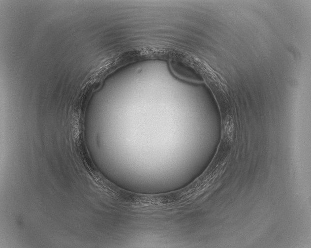 X0000116161012200912071320