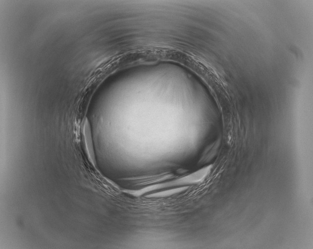 X0000116161013200912071320