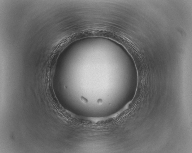 X0000116161014200912071320