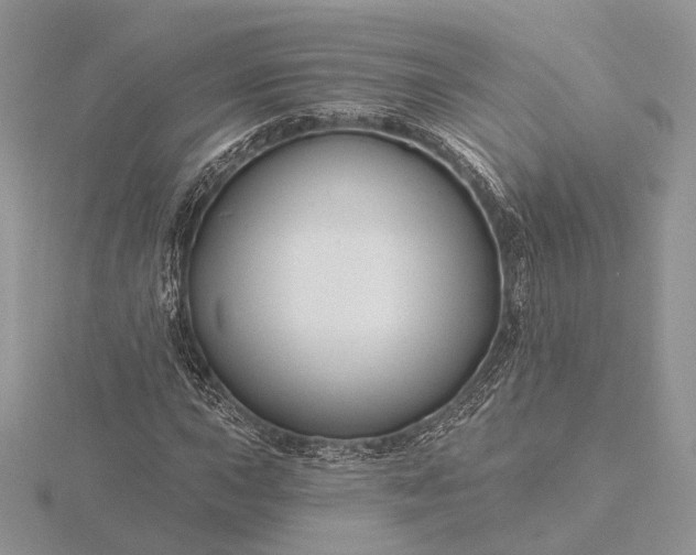 X0000116161015200912071320