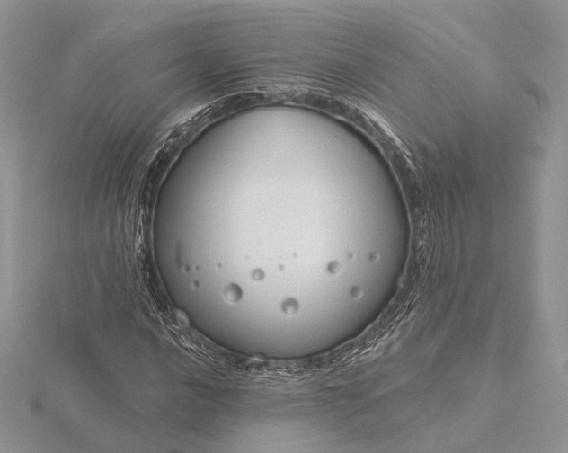 X0000116161016200912071320