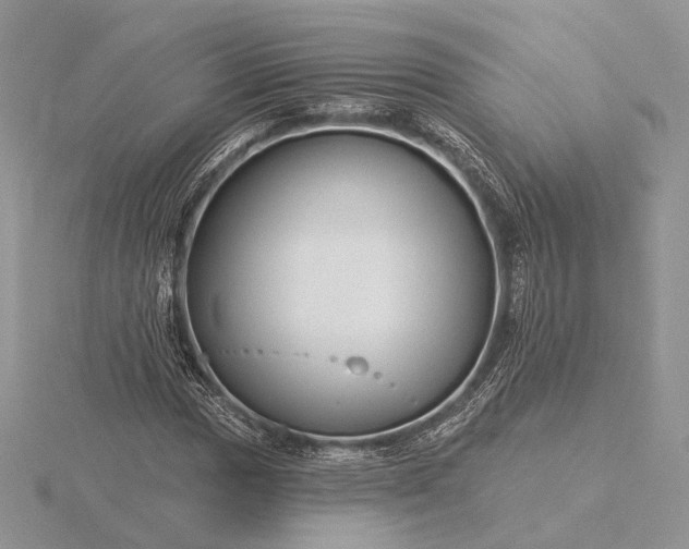 X0000116161017200912071320