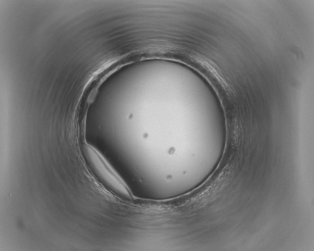 X0000116161018200912071320