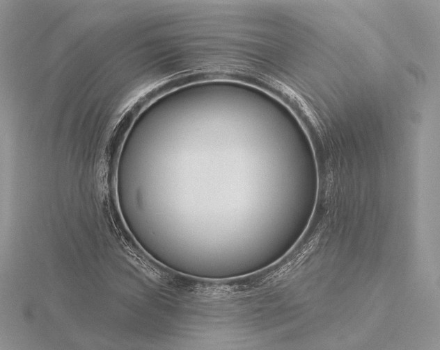 X0000116161019200912071320