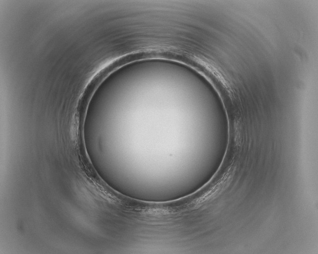 X0000116161021200912071320