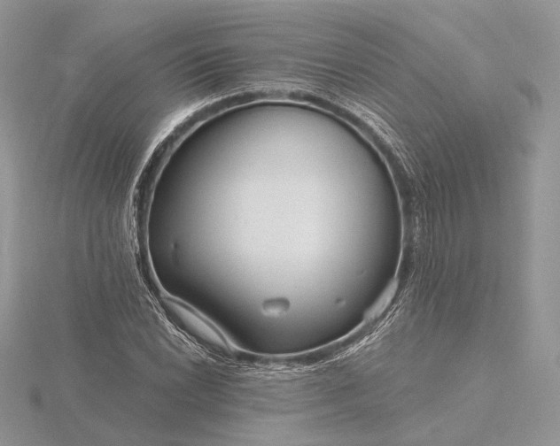 X0000116161022200912071320