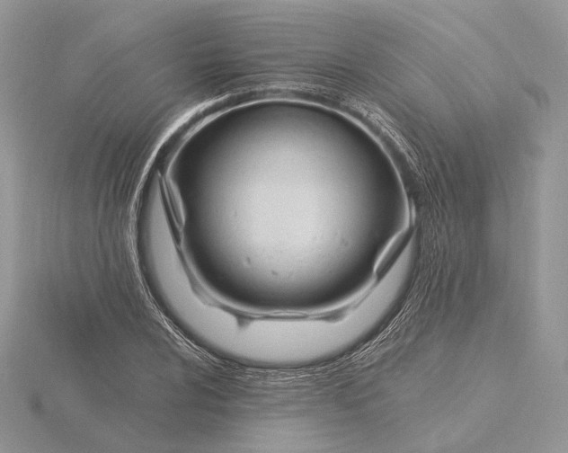 X0000116161024200912071320