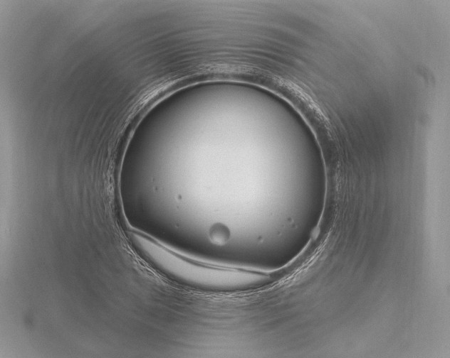 X0000116161025200912071320