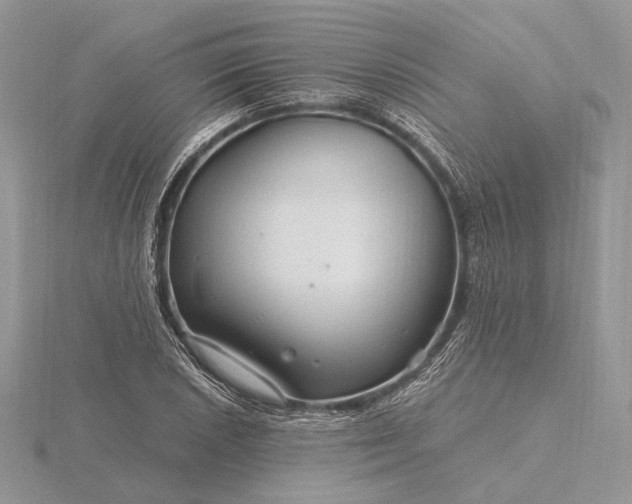 X0000116161026200912071320