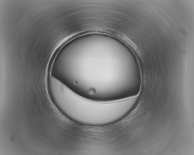 X0000116161028200912071320