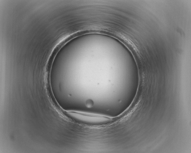 X0000116161029200912071320