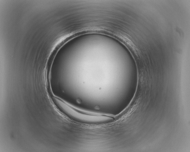 X0000116161030200912071320