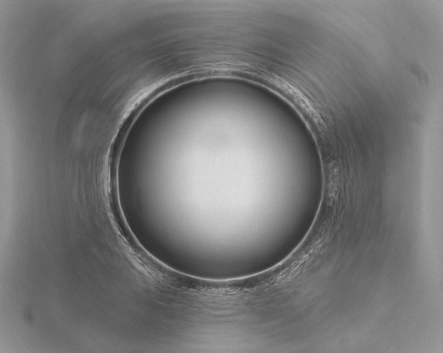 X0000116161031200912071320