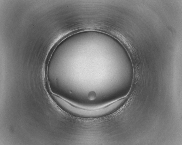 X0000116161032200912071320