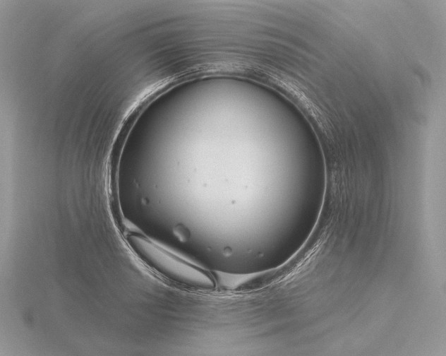 X0000116161034200912071320