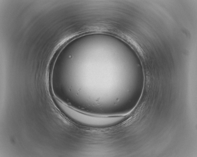 X0000116161035200912071320