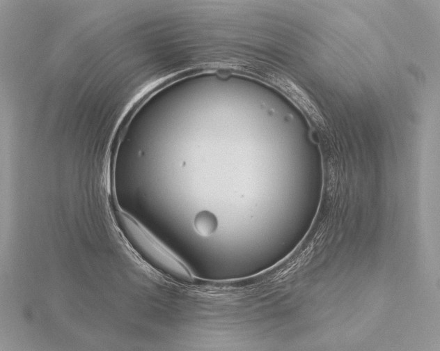 X0000116161036200912071320