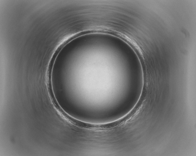 X0000116161037200912071321