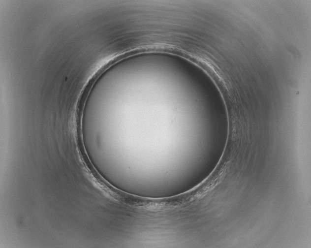 X0000116161038200912071321