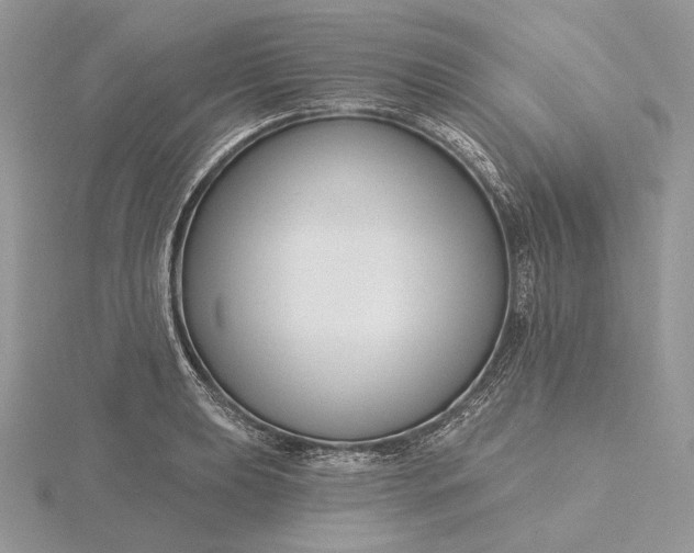 X0000116161039200912071321