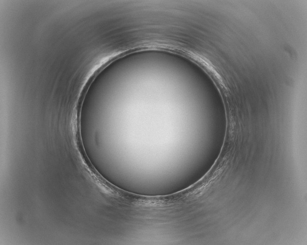 X0000116161040200912071321