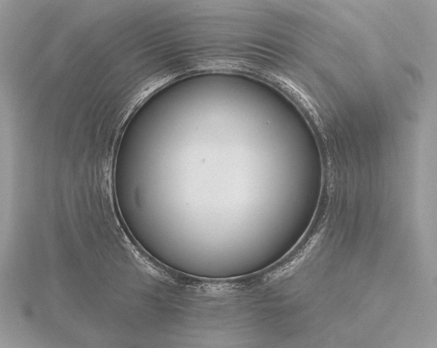 X0000116161041200912071321