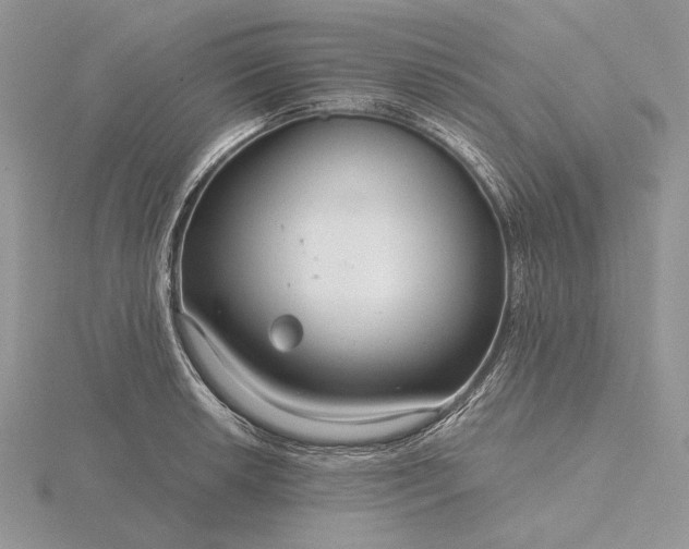 X0000116161042200912071321